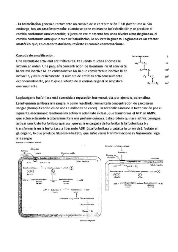 Miniatura del documento Tema-6.pdf