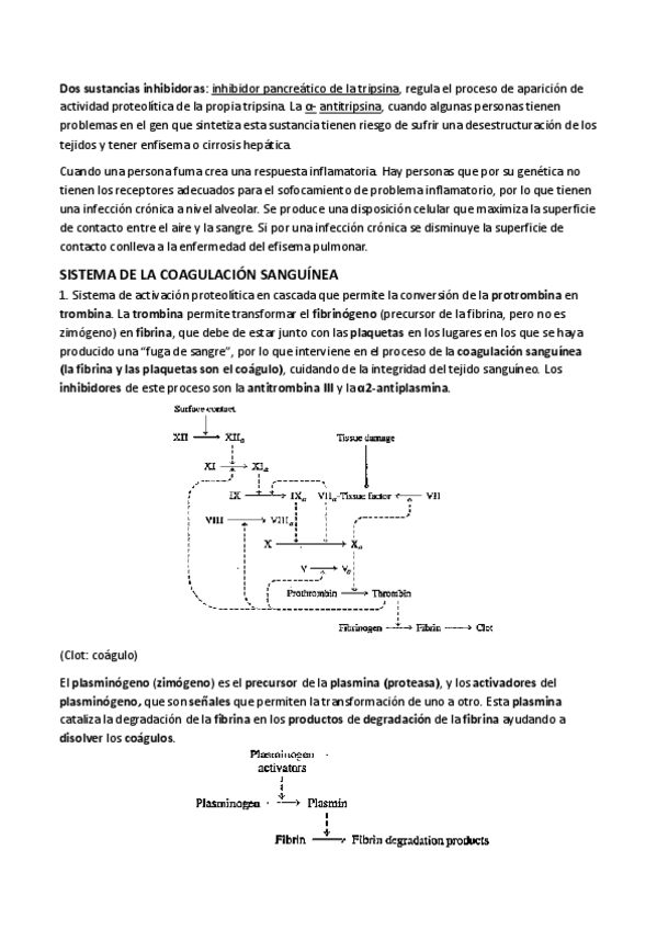 Miniatura del documento Tema-6.pdf