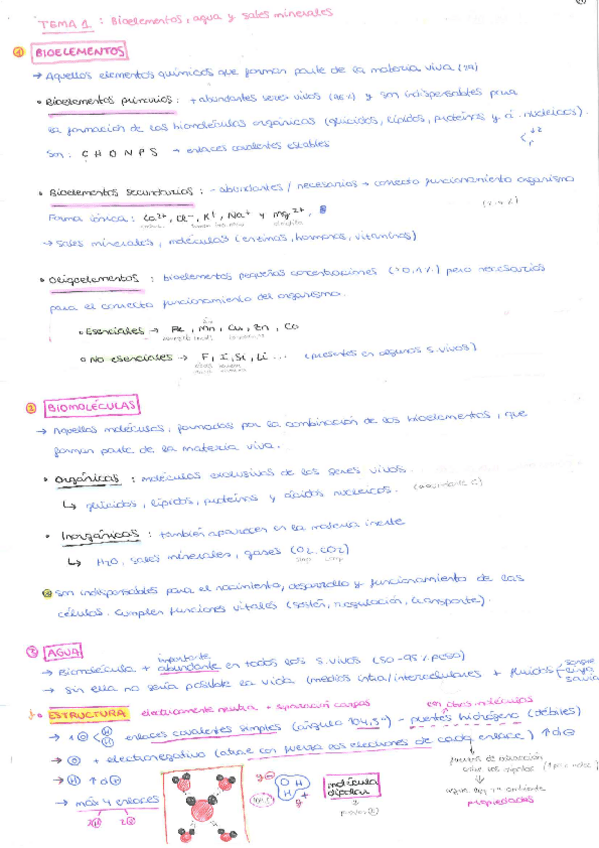 Miniatura del documento TEMA-1.pdf