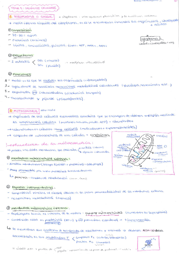 Miniatura del documento TEMA-9.pdf
