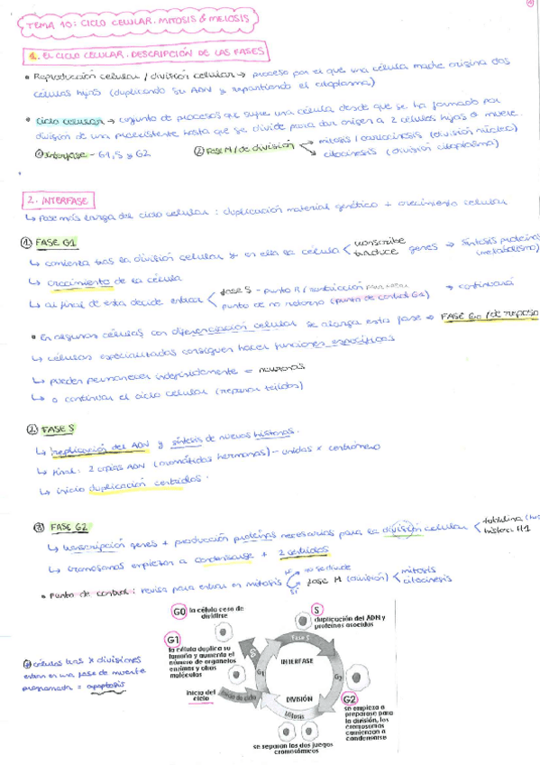 Miniatura del documento TEMA-10.pdf