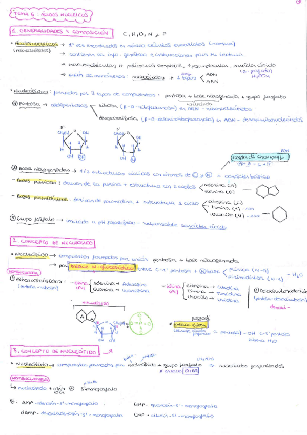 Miniatura del documento TEMA-6.pdf