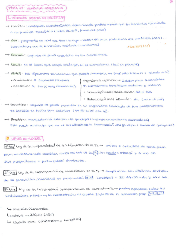 Miniatura del documento TEMA-13.pdf