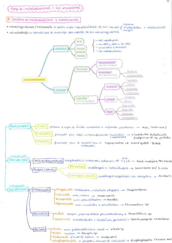 Miniatura del documento TEMA-16.pdf