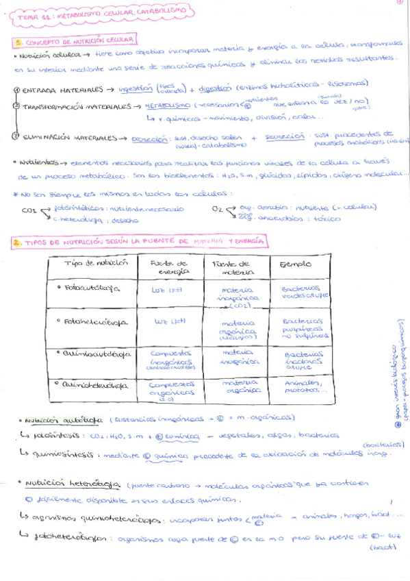 Miniatura del documento TEMA-11.pdf