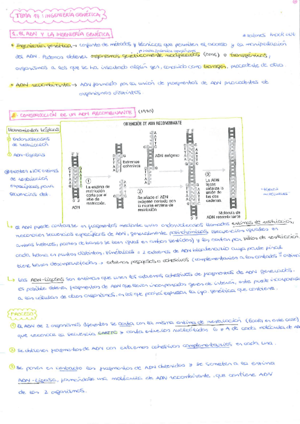 Miniatura del documento TEMA-17.pdf