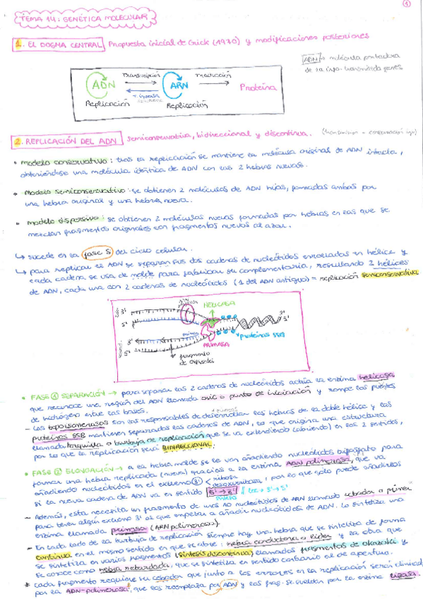 Miniatura del documento TEMA-14.pdf