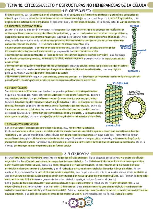 Miniatura del documento BIOLOGIA-2oBACH-2.pdf