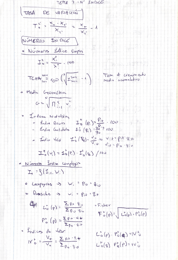 Miniatura del documento Apuntes.pdf