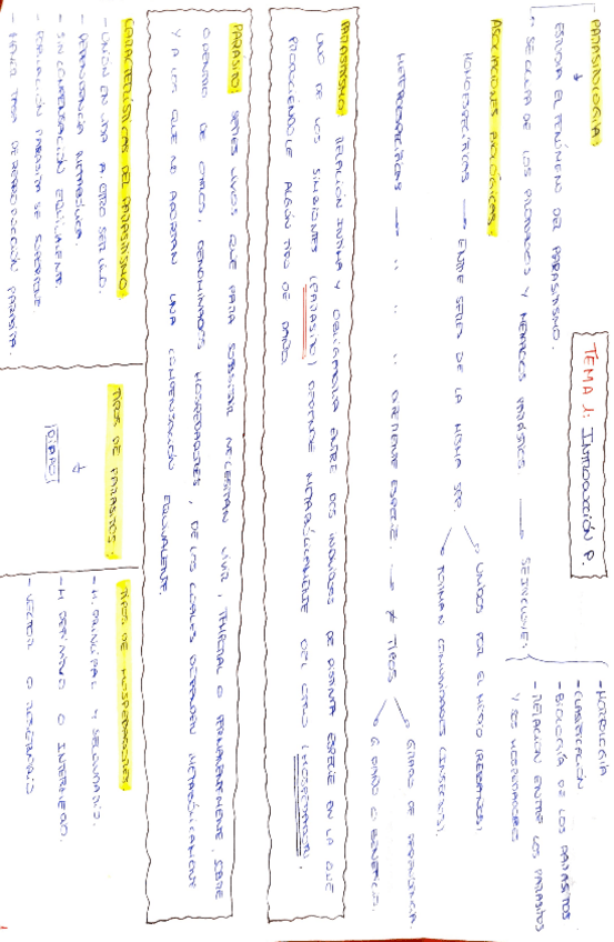 Miniatura del documento ESQUEMAS.pdf