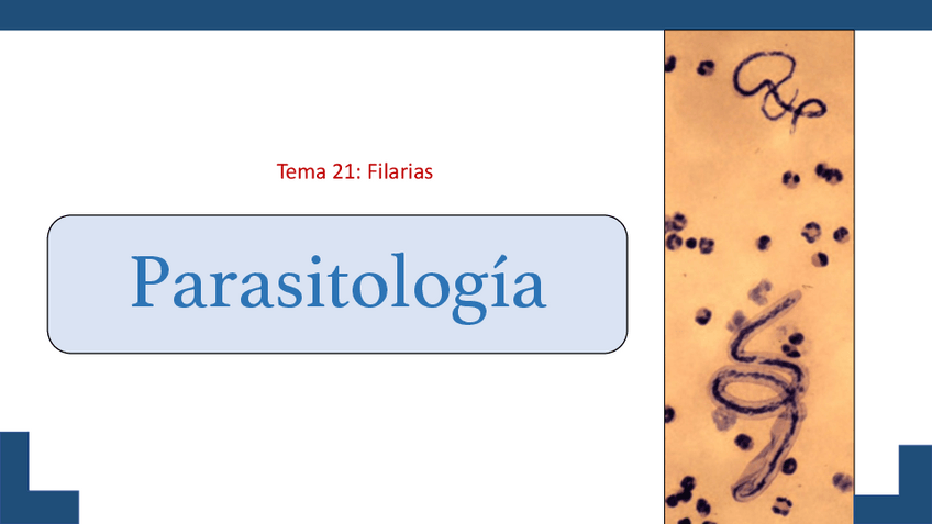 Miniatura del documento Tema-21.pdf