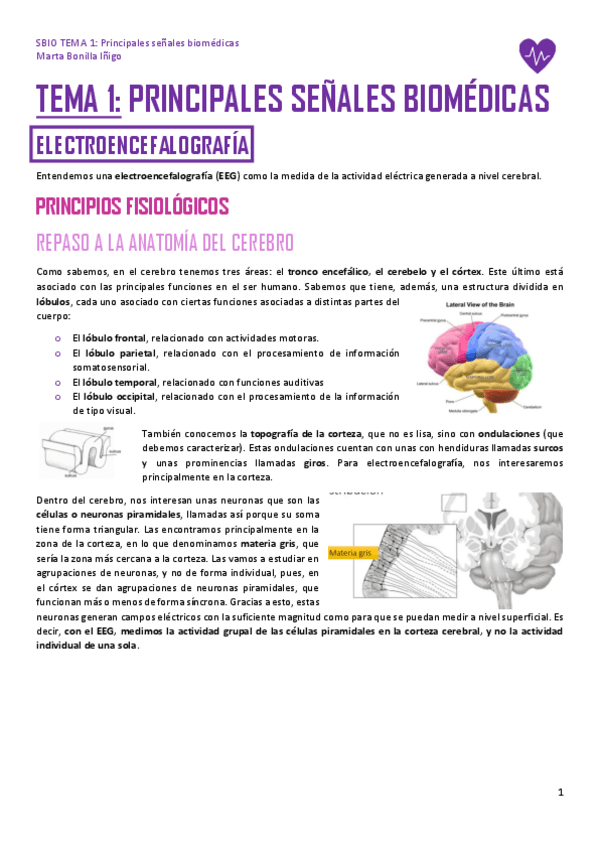 Miniatura del documento SBIO-TEMA-1.pdf