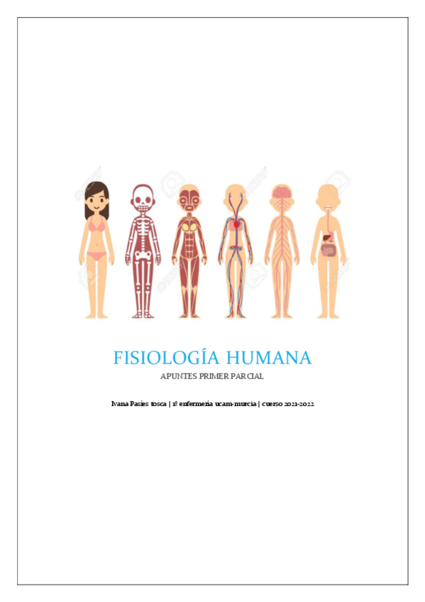 Miniatura del documento fisiologia-primer-parcial-apuntes-ivana.pdf