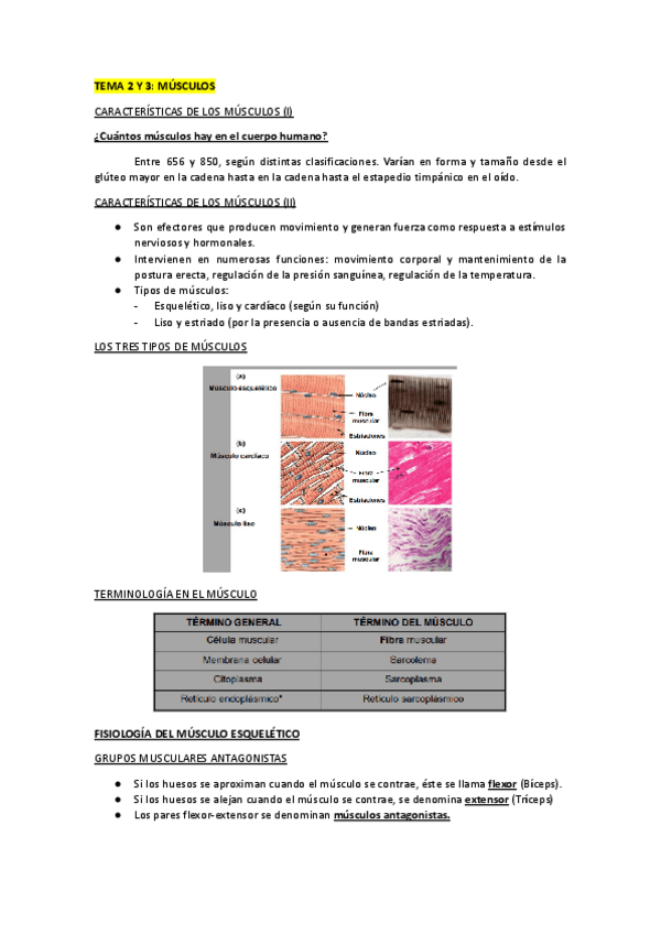 Miniatura del documento TEMA-2-Y-3-FH.pdf