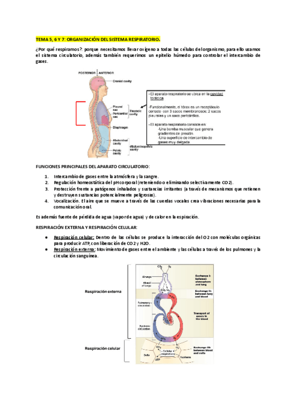 Miniatura del documento TEMA-5-6-Y-7-FH.pdf