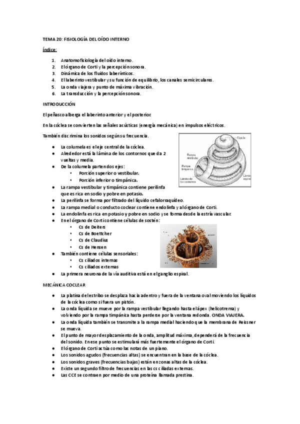 Miniatura del documento TEMA-20-OTO.pdf