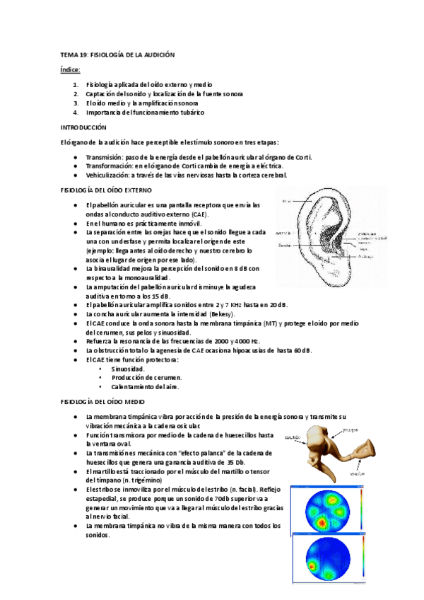 Miniatura del documento TEMA-19-OTO.pdf