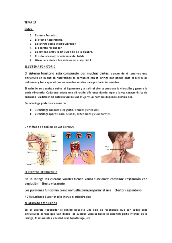 Miniatura del documento TEMA-17-OTO.pdf