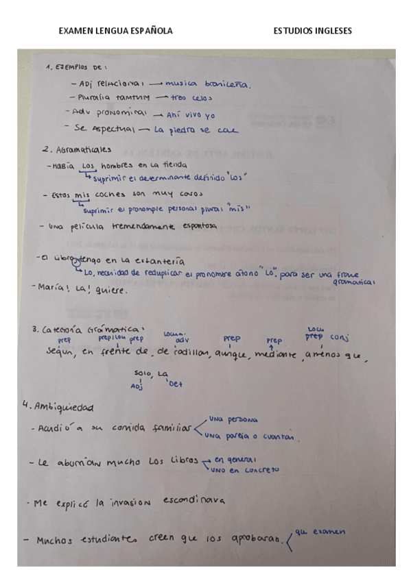 Miniatura del documento EXAMEN-LENGUA-ESPANOLA.pdf
