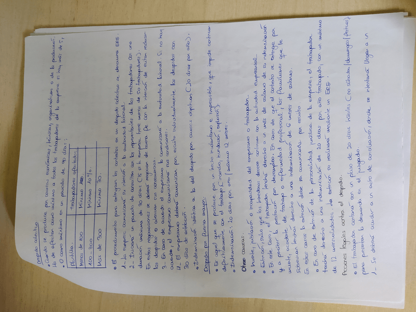 Miniatura del documento IMG20220825182136.jpg