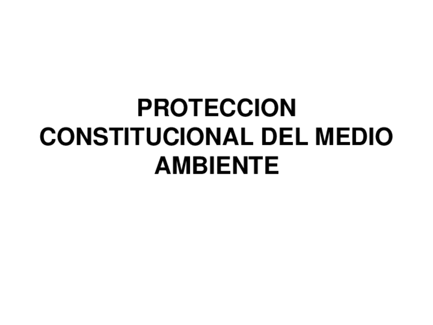 Miniatura del documento Leccion-4-Proteccion-constitucional-del-Medio-ambiente.pdf
