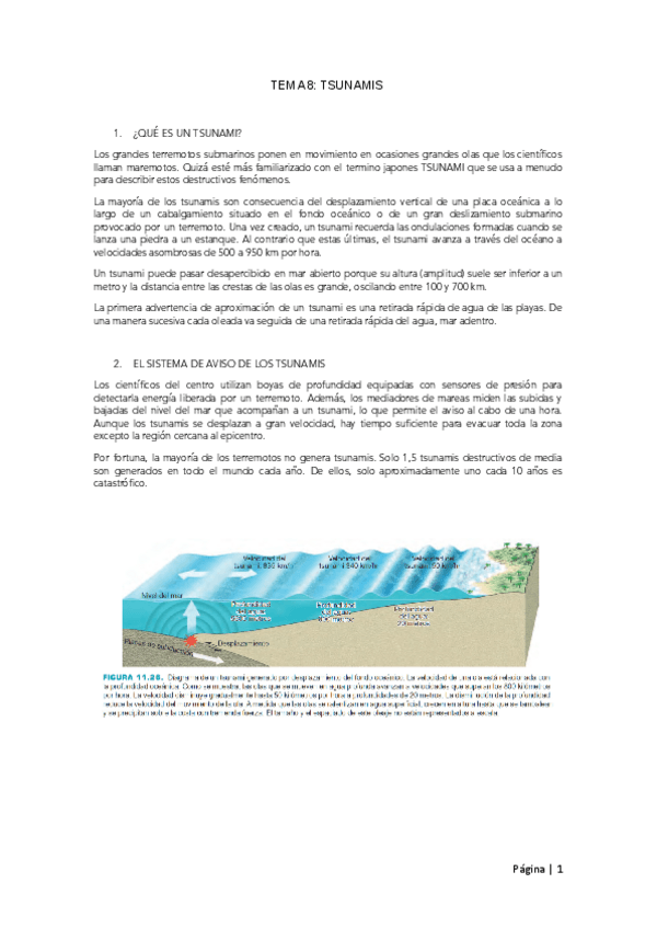 Miniatura del documento TEMA-8-tsunamis.pdf