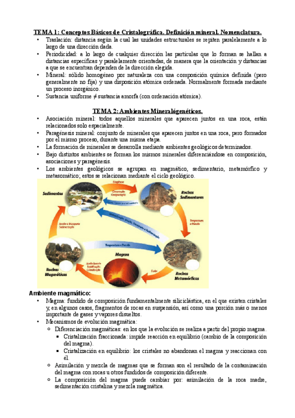 Miniatura del documento temas-del-1-al-20.pdf