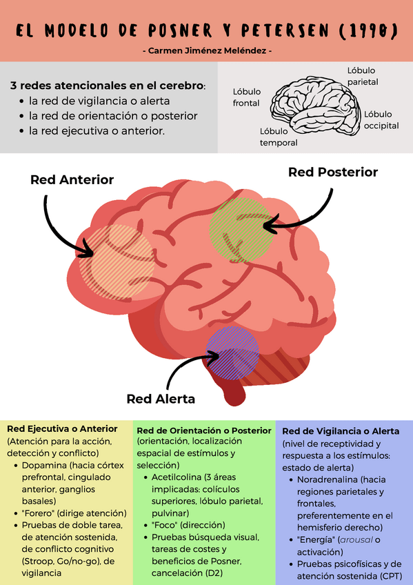 Miniatura del documento EL-MODELO-DE-POSNER-Y-PETERSEN-1990.pdf