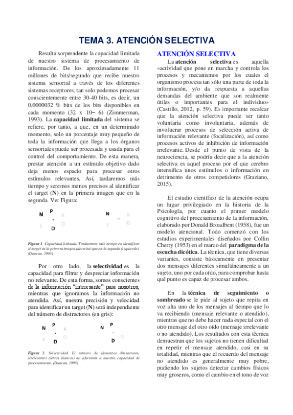 Miniatura del documento TEMA-3-ATENCION.pdf