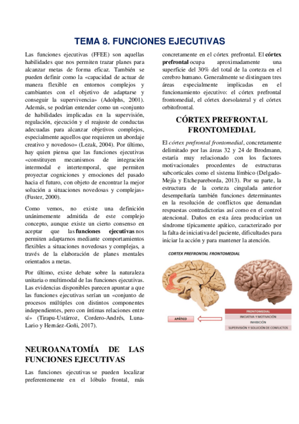 Miniatura del documento TEMA-8-ATENCION.pdf