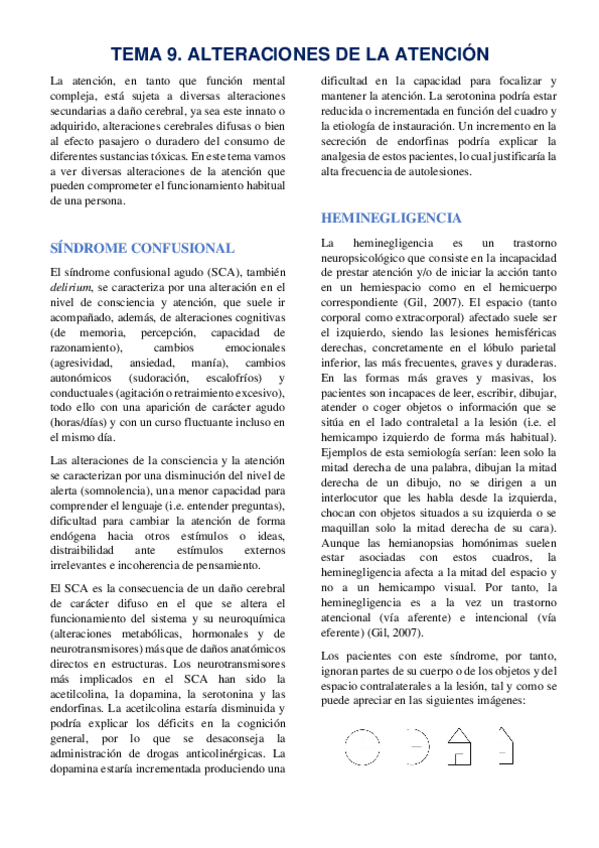Miniatura del documento TEMA-9-ATENCION.pdf