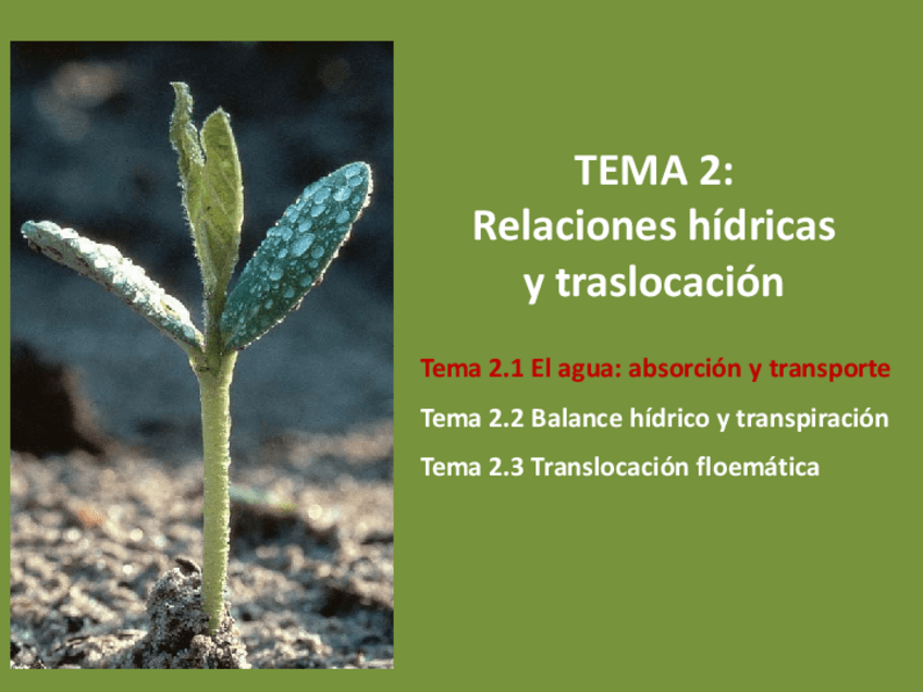 Miniatura del documento Tema-2.pdf