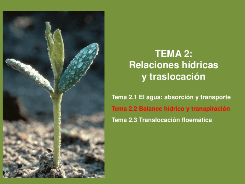 Miniatura del documento Tema-2.pdf