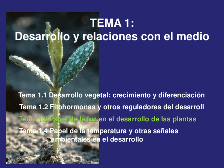 Miniatura del documento Tema-1.pdf