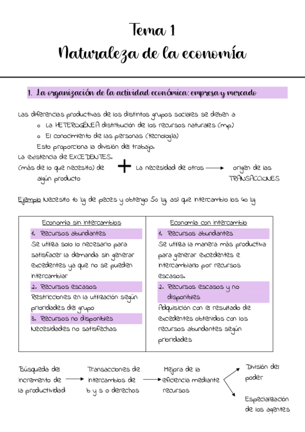 Miniatura del documento Tema-1.pdf