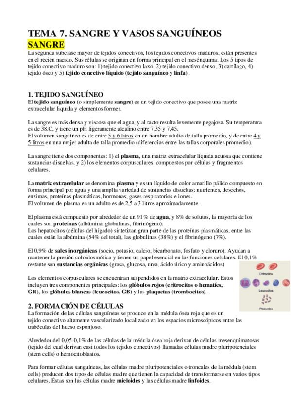 Miniatura del documento ECH-TEMA-7-SANGRE-Y-SISTEMA-VASCULAR.pdf