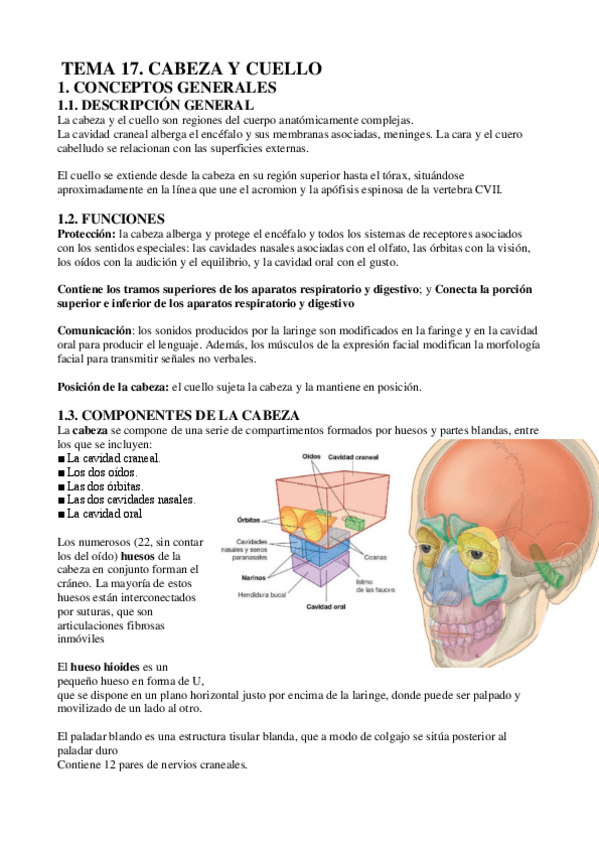 Miniatura del documento ECH-TEMA-17.pdf