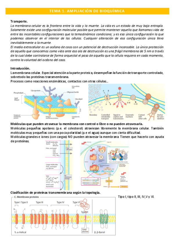 Miniatura del documento Tema-1.pdf
