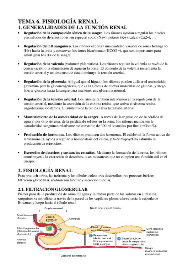 Miniatura del documento TEMA-6.pdf