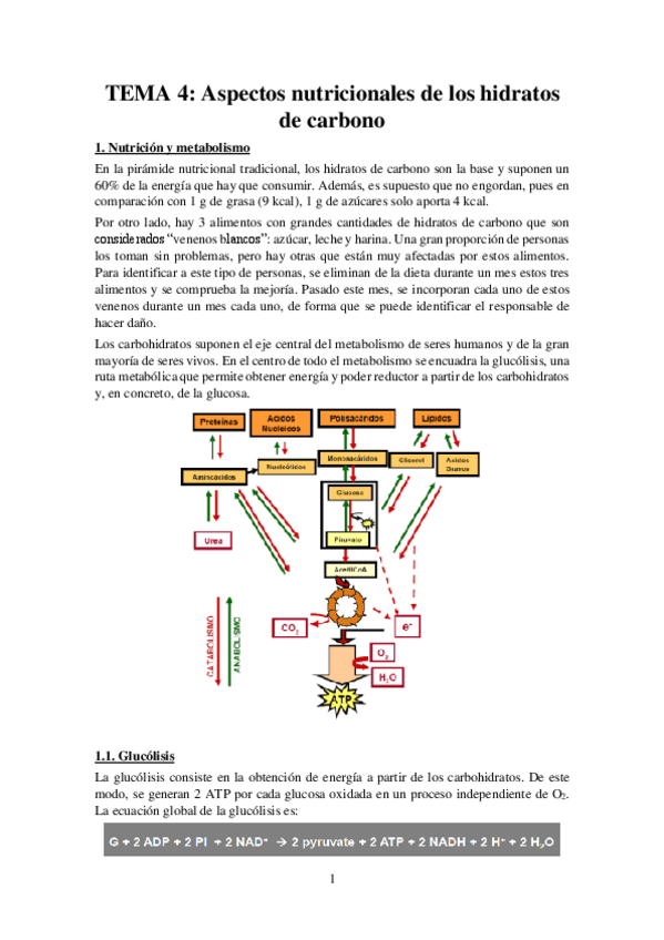 Miniatura del documento Tema-4-Apuntes-Nutricion.pdf