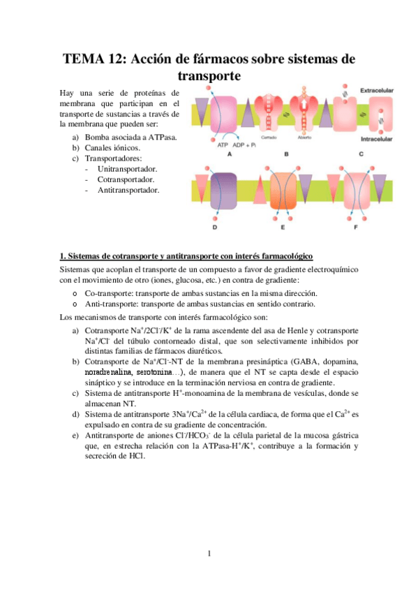 Miniatura del documento Tema-12-Apuntes-Farma.pdf