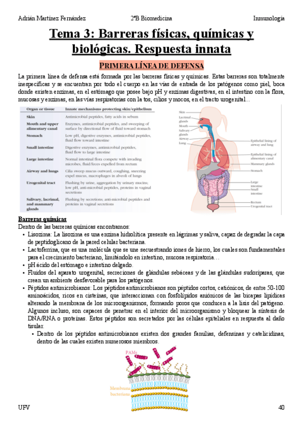 Miniatura del documento Tema-3.pdf