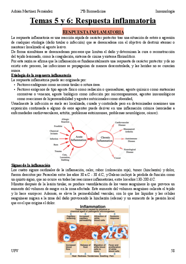 Miniatura del documento Tema-5-y-6.pdf