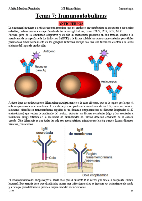Miniatura del documento Tema-7.pdf