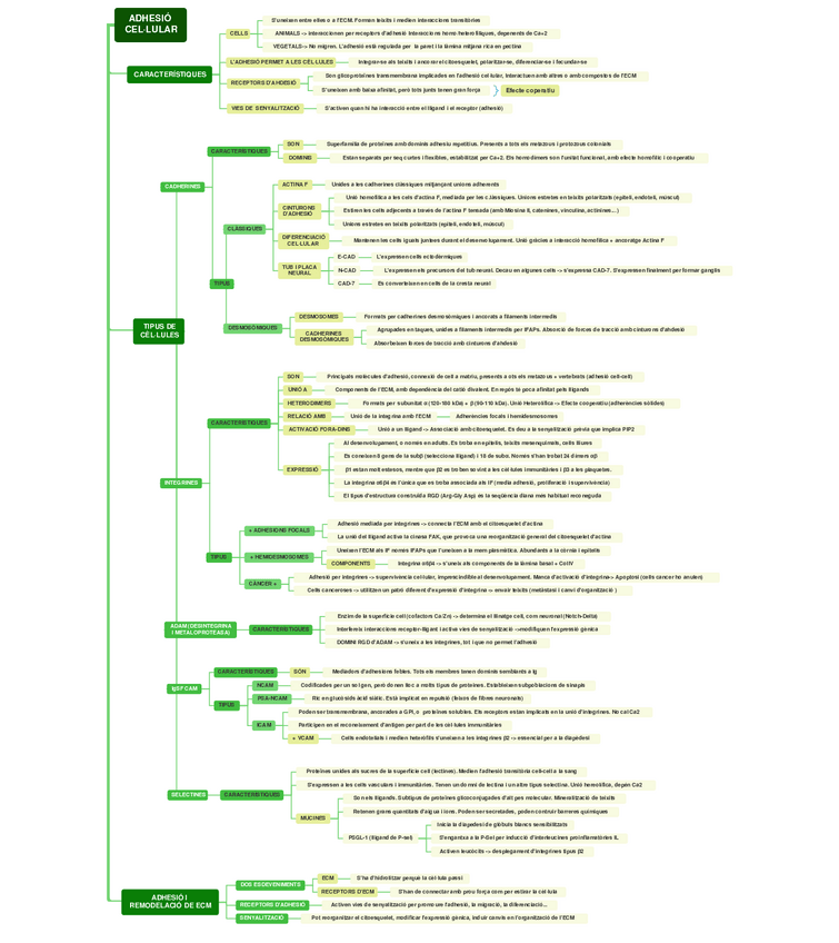 Miniatura del documento Esquema-adhesio-cellular.pdf