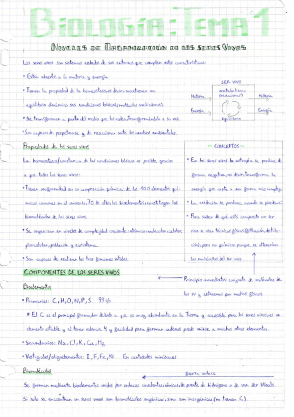 Miniatura del documento NIVELES-DE-ORGANIZACION-DE-LOS-SERES-VIVOS-ESCANEOS.pdf