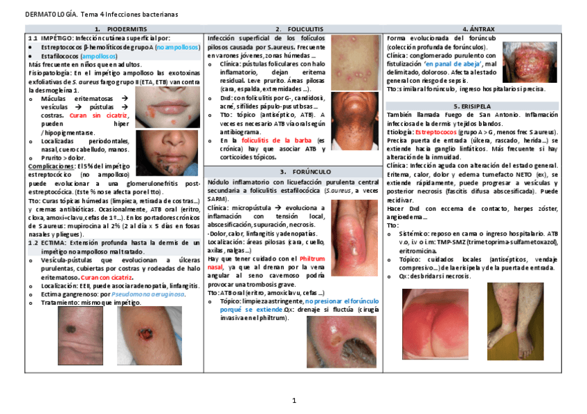 Miniatura del documento Tema-4-Infecciones-bacterianas-apuntes.pdf