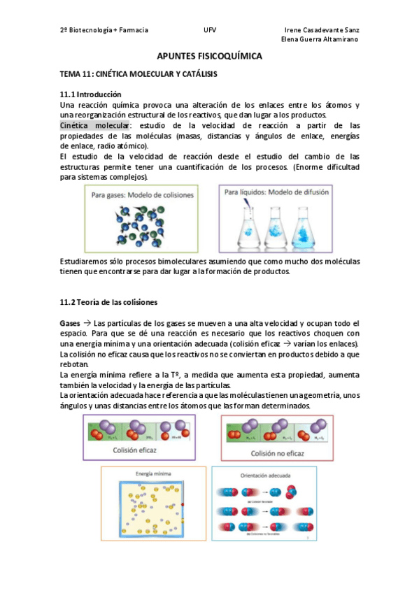 Miniatura del documento T11.pdf