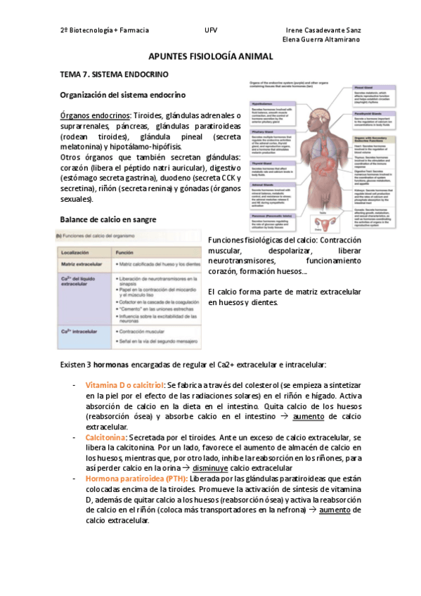 Miniatura del documento T7.pdf