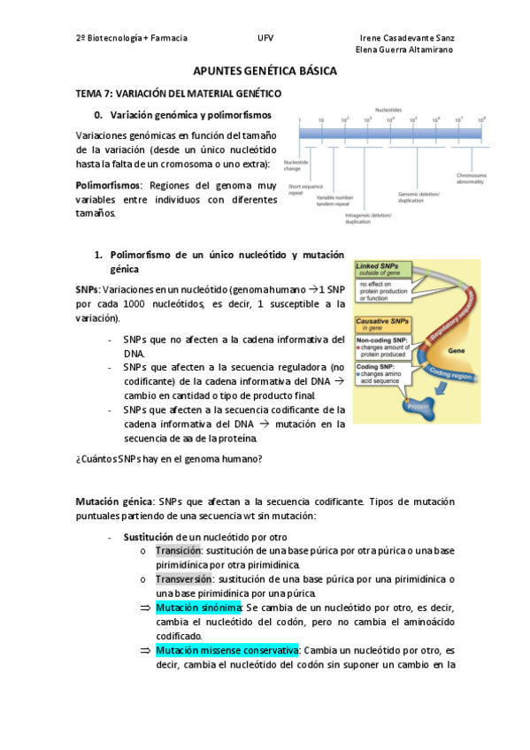 Miniatura del documento T7.pdf